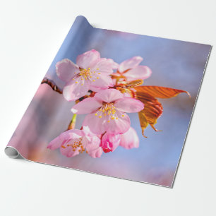 Den häpnadsväckande turen hos Sakurablommor Presentpapper