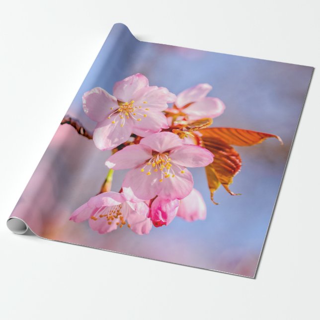 Den häpnadsväckande turen hos Sakurablommor Presentpapper (Utrullad)