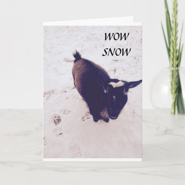 DEN HÄR GATTEN ÄR EN SÅDAN KIDDER PÅ DIN BIRTHDAY KORT (Framsida)