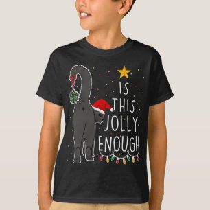 Den här glädjens nog så här bra jultomten t shirt