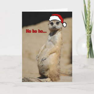 Den här gravida Meerkat Santa Momma Helgkort