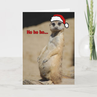 Den här gravida Meerkat Santa Momma Helgkort