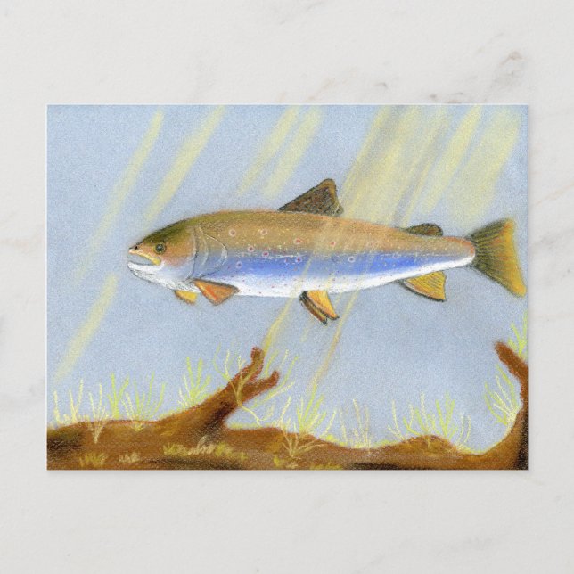 Den här prisbelönta grafiken har Brook Trou Vykort (Framsida)