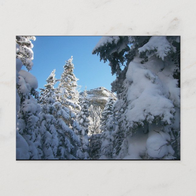 Den här vägen till toppen. vykort (Framsida)