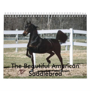 Den härliga amerikanen Saddlebred Kalender