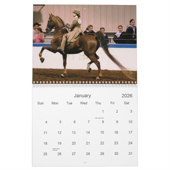 Den härliga amerikanen Saddlebred Kalender (Jan 2026)