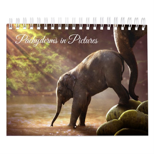 Den härliga elefanten fotograferar kalender (Omslag)