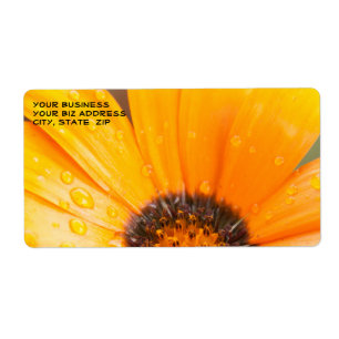 Den härliga halva närbilden för orange daisy fraktsedel