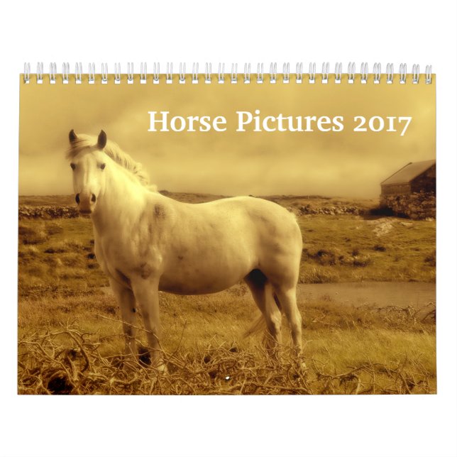 Den härliga hästen föreställer bilder 2017 kalender (Omslag)