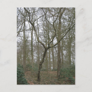 Den härliga naturen överför jag, den fula vykort