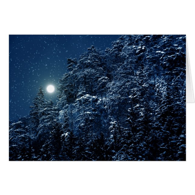 Den härliga vintern landskap med snö täckte träd hälsningskort (Framsidan Horizontal)