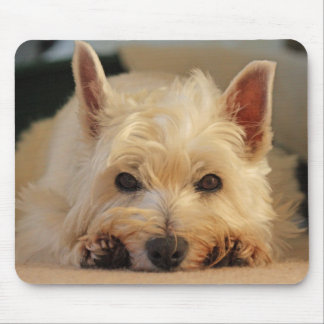 Den härliga Westie hundmusen vadderar/musmattan Musmatta