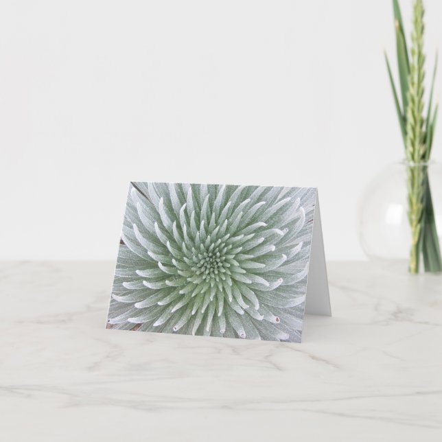 Den hawaianska kaktussuckulenten noterar kortet kort (Framsida)