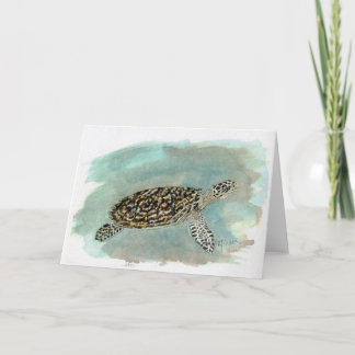 Den Hawksbill havssköldpaddan Kort