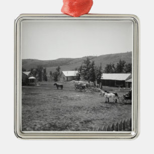 Den Haylie ranchen, Crook County, Wyoming, c.1890 Julgransprydnad Metall