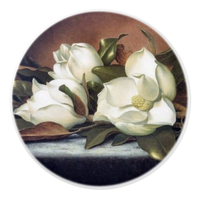 Den Heade magnoliaen blommar Knopp (Framsidan)