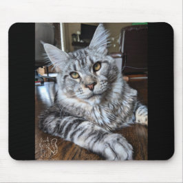 Den Herr Valp-Sockor musen vadderar #1 Musmatta