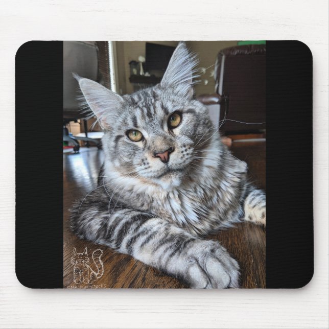 Den Herr Valp-Sockor musen vadderar #1 Musmatta (Framsidan)