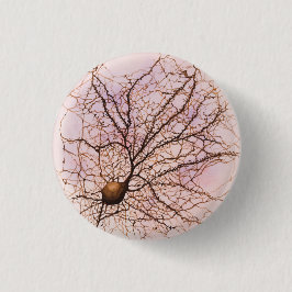 Den Hippocampal neuronen - knäppas & klämma fast Knapp