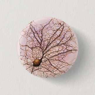 Den Hippocampal neuronen - knäppas & klämma fast Knapp