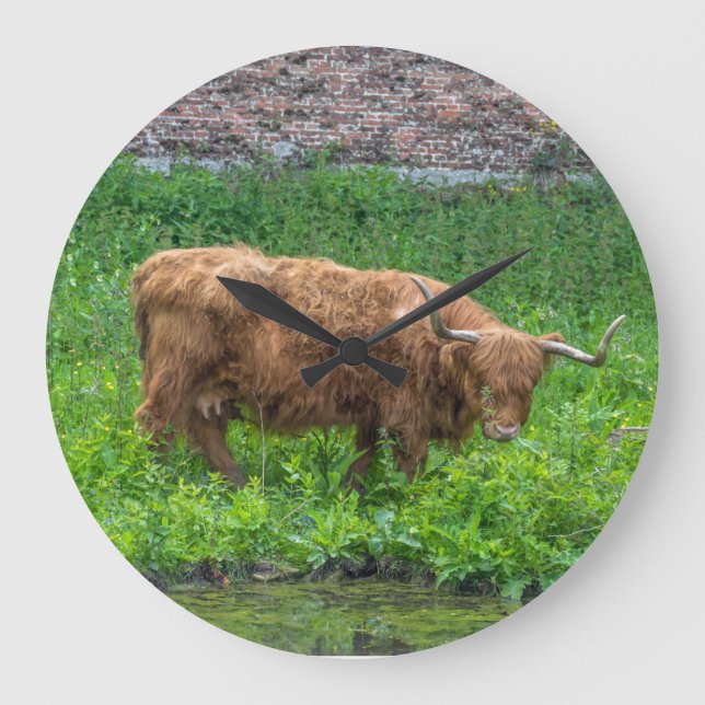 Den höglands- koväggen tar tid på stor klocka (Framsida)