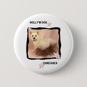 Den Hollywood chihuahuaen klämmer fast Knapp
