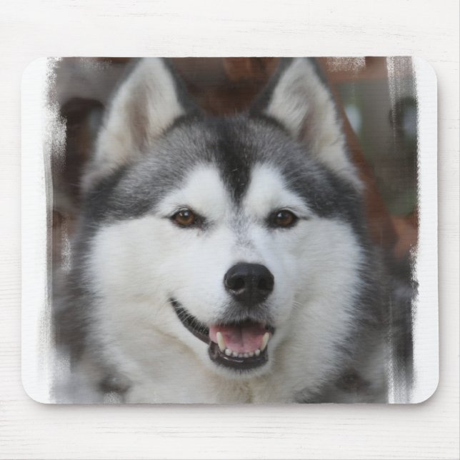 Den Husky hundmusen vadderar Musmatta (Framsidan)