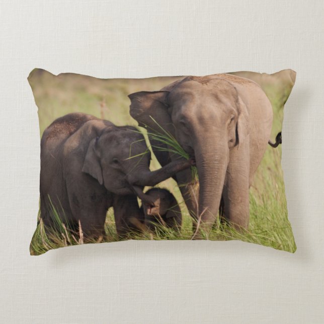 Den indiska asiatiska elefantfamiljen i Savannah Prydnadskudde (Framsidan)