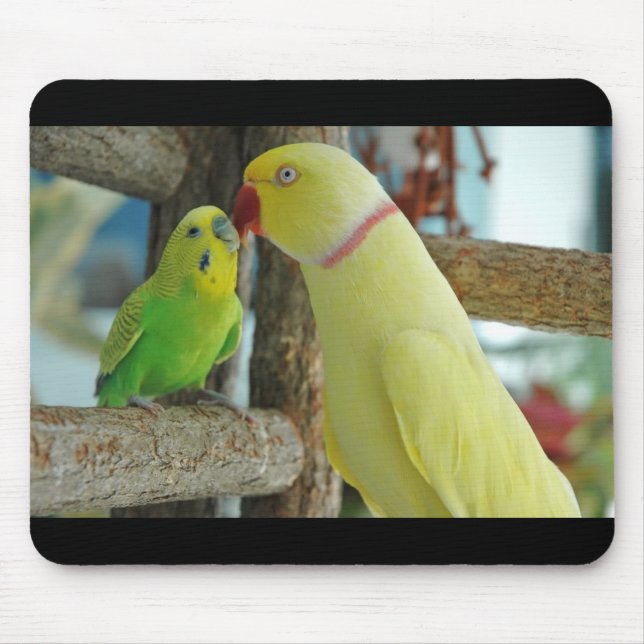 Den indiska Ringneck och Budgie kyssande musen Musmatta (Framsidan)