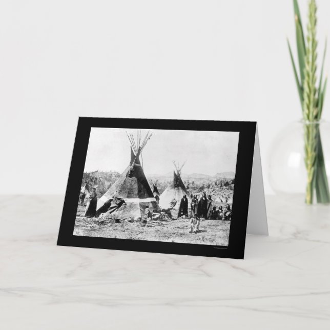 Den indiska shoshonien och flår Tipis 1884 Kort (Framsida)