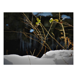 "Den inre marknaden" Fototryck