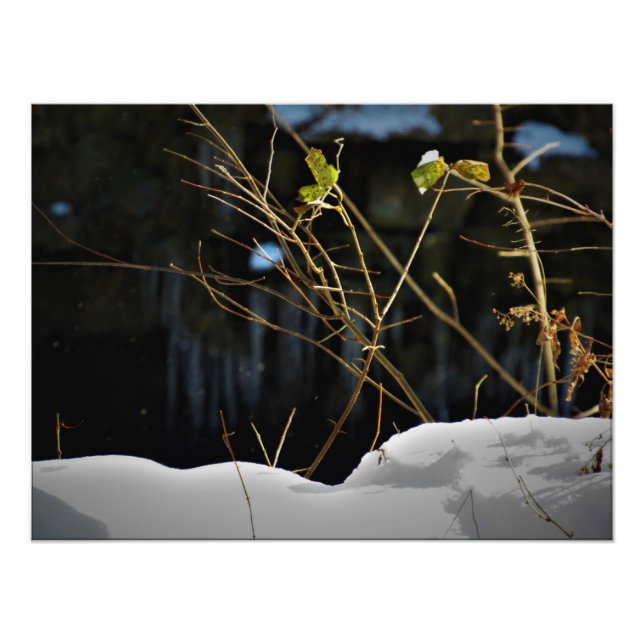 "Den inre marknaden" Fototryck (Framsidan)