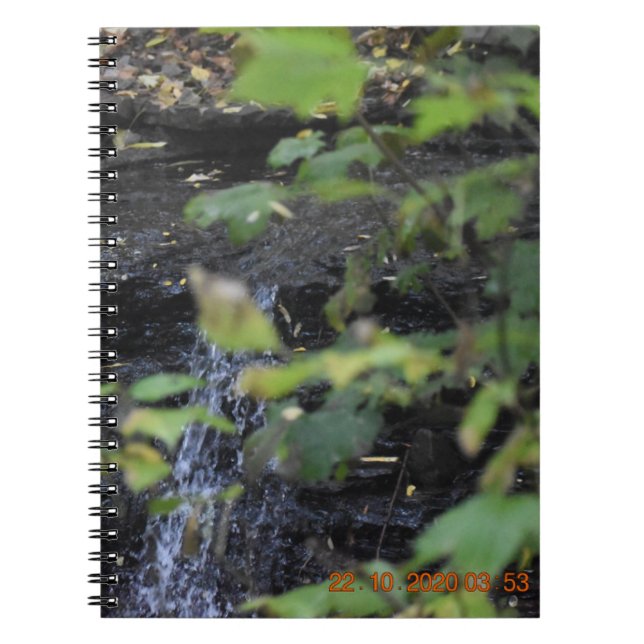 Den inre strömmen anteckningsbok (Framsidan)