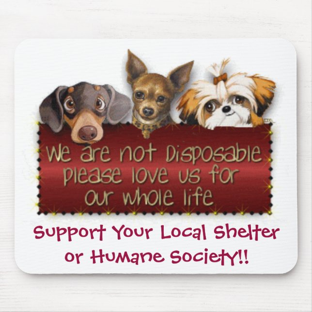 Den inte disponibla musen vadderar musmatta (Framsidan)