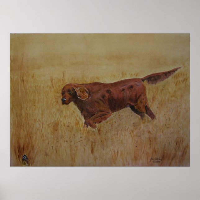 Den irländska Fält-dagen Poster (Framsidan)