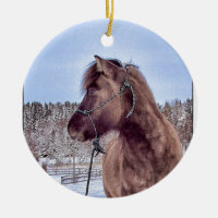Den isländska hästen driver