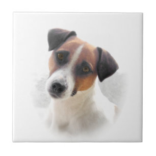 Den jackRussel terrieren belägger med tegel Kakelplatta