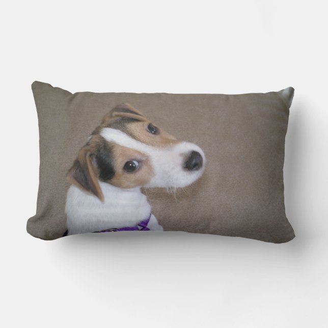 Den jackRussell valpen kudder Lumbarkudde (Framsida)