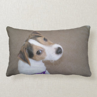 Den jackRussell valpen kudder Lumbarkudde