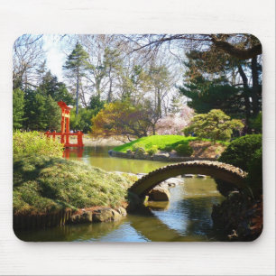 Den japanska backe- och dammträdgården musmatta