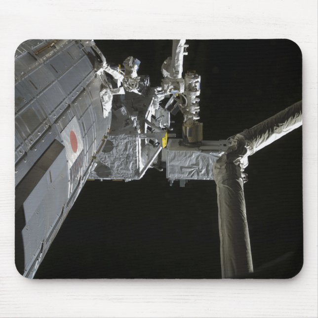 Den japanska experimentaren Modu-arm:s robotiska Musmatta (Framsidan)