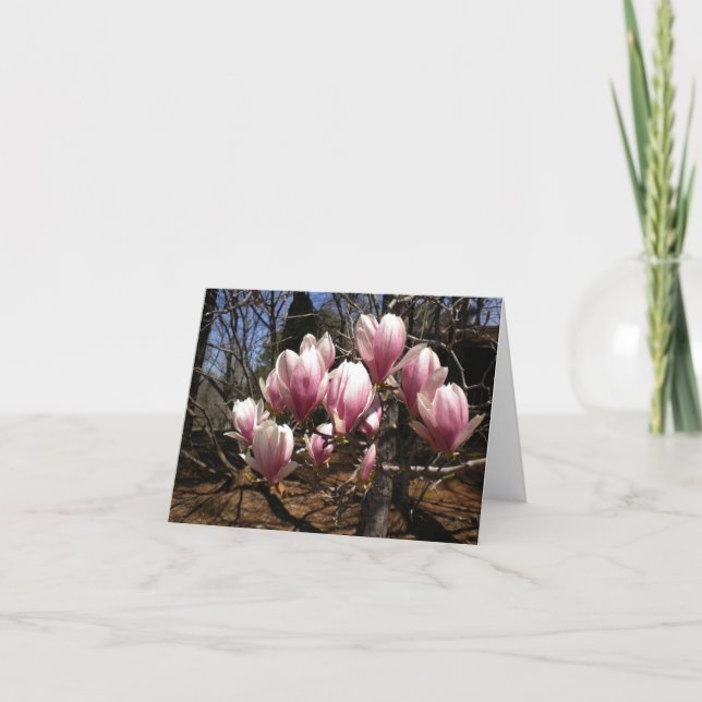 Den japanska magnoliaen noterar kortet kort (Framsida)