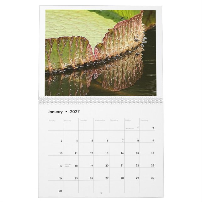 Den jätte- liljan vadderar 2013 kalender (Jan 2027)