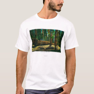 Den jätte- skogen för Auto inloggning, redwoodtr T-shirt