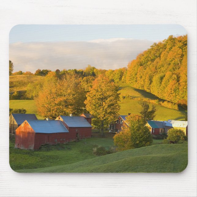Den Jenne lantgården i Woodstock, Vermont. Musmatta (Framsidan)