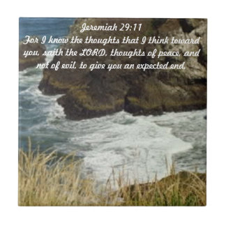 Den Jeremiah 29:11 belägger med tegel Kakelplatta