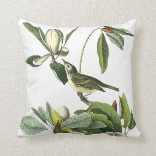 Den John James Audubon vireoen kudder Kudde