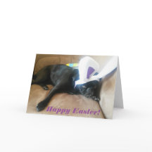 Den Josie kaninen gå i ax påskkortet