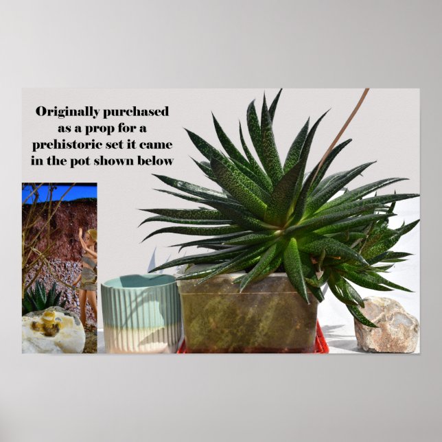 Den Jurassiska Växtens Början Poster (Framsidan)