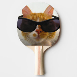 Den kalla katten med solglasögonpingen Pong Pingisracket